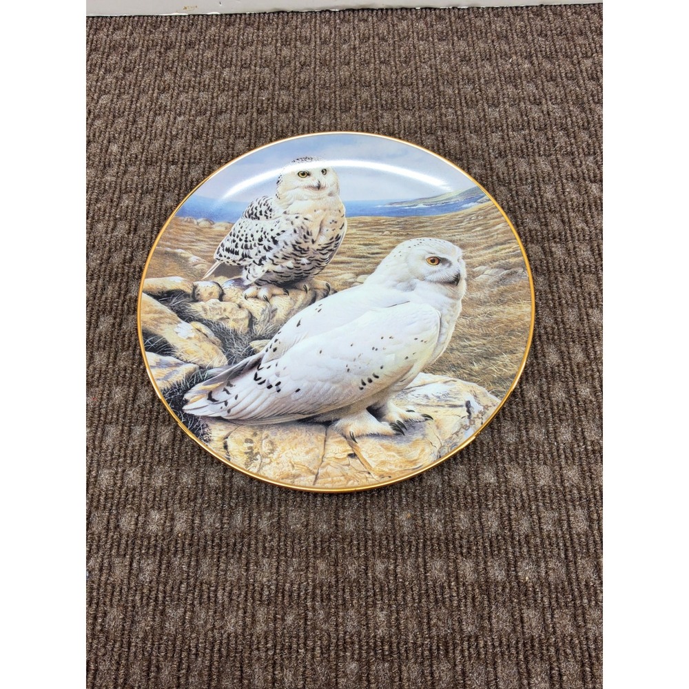 Danbury Mint Arctic Royalty Snowy Owl Collector Plate Trevor Boyer AB279 8 Inch